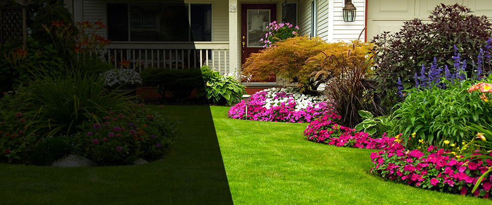 Clive Landscapers
