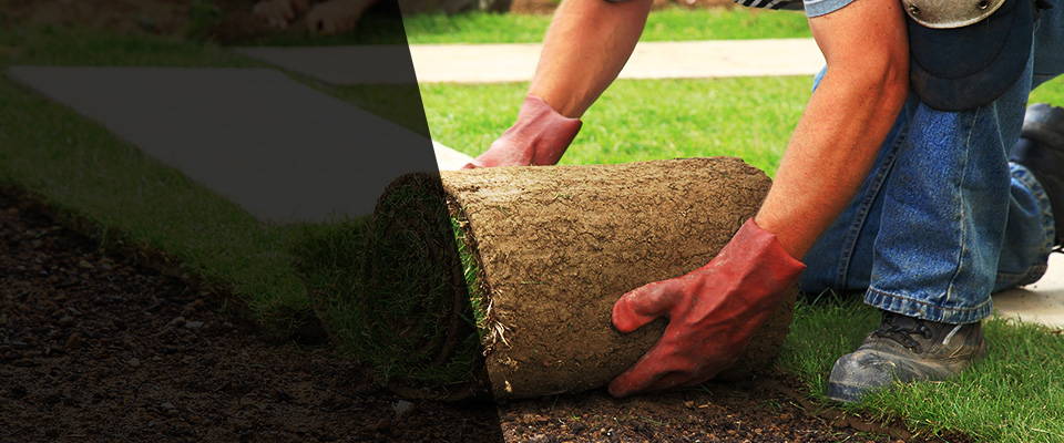 Clive Landscapers